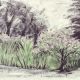 Public Gardens