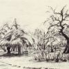 Public Gardens 5