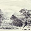 Public Gardens 6