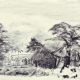 Public Gardens