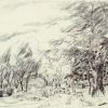 Public Gardens 7