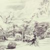 Public Gardens 8