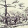 Public Gardens 9