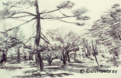 Public Gardens 9