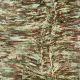 Claviform