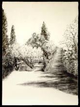 Barcelona Park