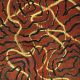 21st-century-schizoid-man