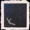 Fallen Dancer