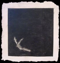 fallen dancer